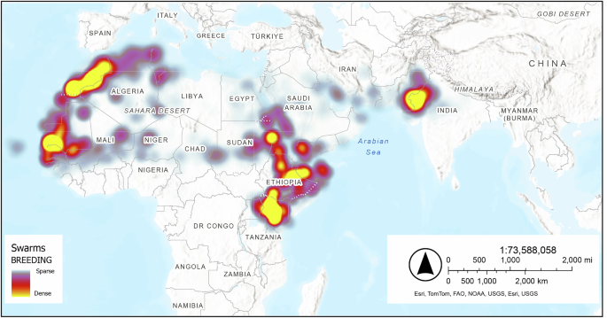 Critical gaps in the global fight against locust outbreaks and ...