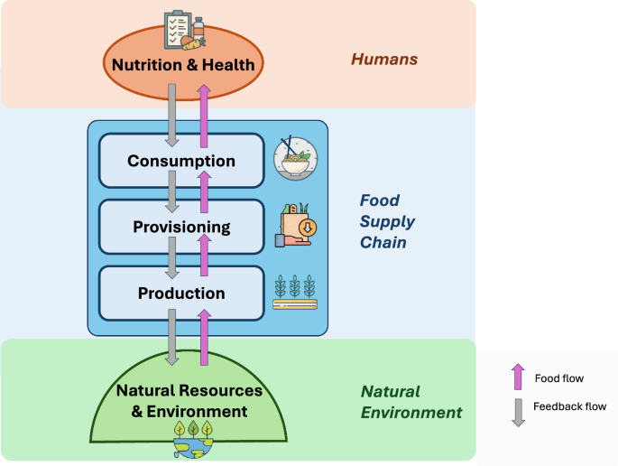 China's transition towards sustainable food systems requires coherent policies - npj Sustainable Agriculture