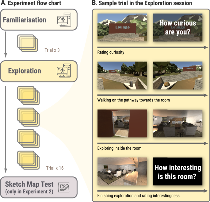 Curiosity shapes spatial exploration and cognitive map formation in ...
