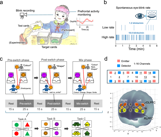 Emergent blink rate in early childhood is associated with neural origins of executive function