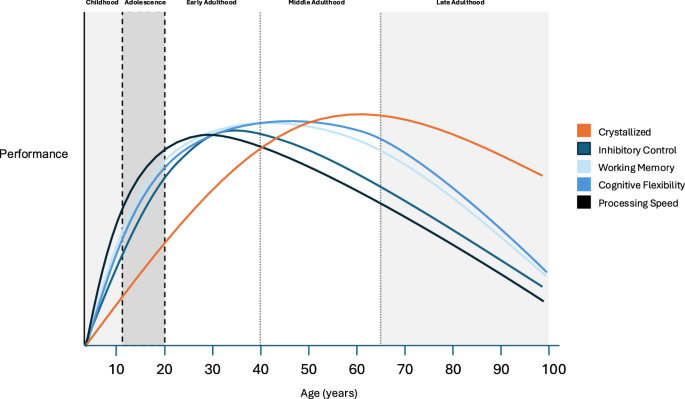 Effect sizes for brain-based predictive models of cognition across the lifespan