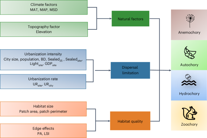 Response and sensitivity of urban plants with different seed dispersal modes