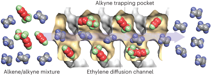 Adaptive alkyne trap purifies crude ethylene