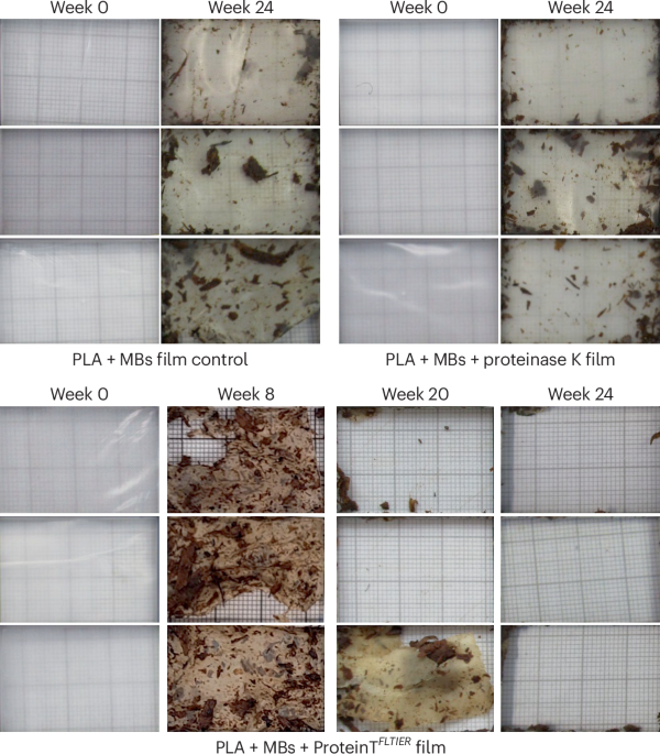 Home composting self-biodegradable plastics | Nature Chemical Engineering