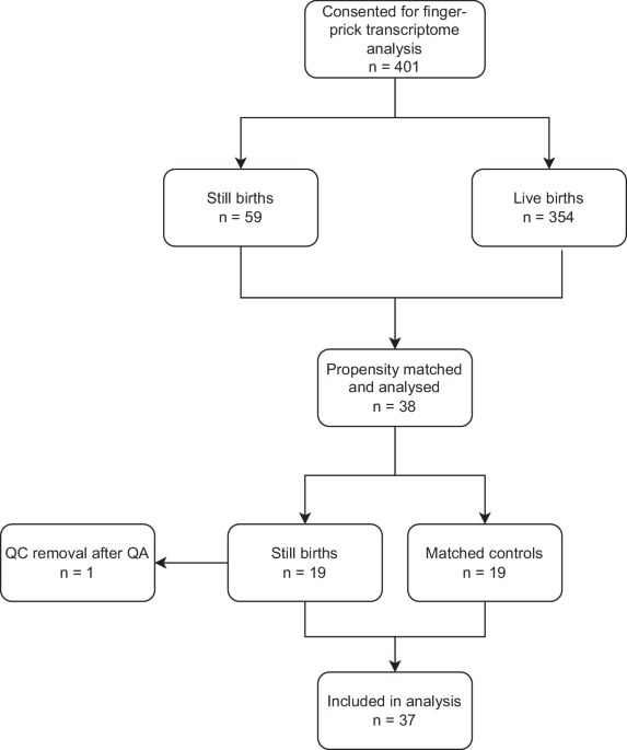 Finger-prick transcriptomic profiling in northern Nigeria reveals a muted maternal systemic response in stillbirth - npj Women's Health