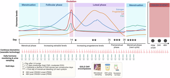 A chronobiology-based protocol for multi-omic mapping of menstrual cycle and diurnal rhythms in ME/CFS and long COVID - npj Women's Health