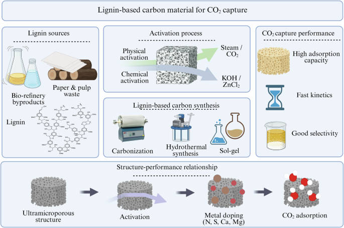 Lignin-derived carbon materials for a sustainable CO2 economy - npj Materials Sustainability