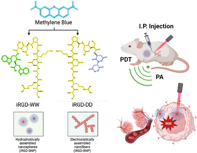 Self-assembled peptide-dye nanostructures for in vivo tumor imaging and photodynamic toxicity