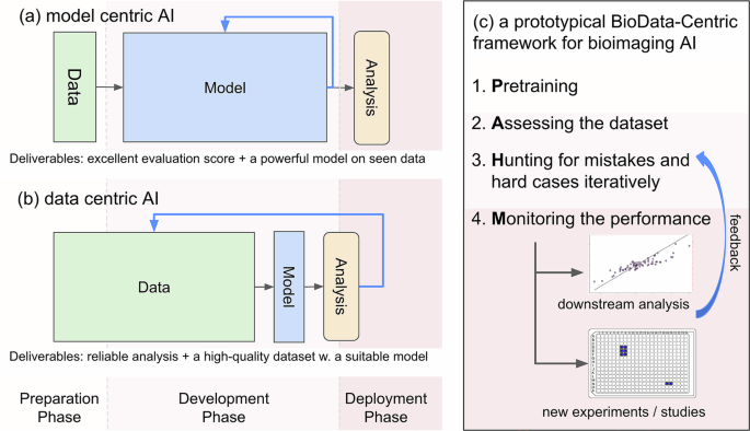 Redefining Bioimaging: A Data-Centric Approach to Deep Learning