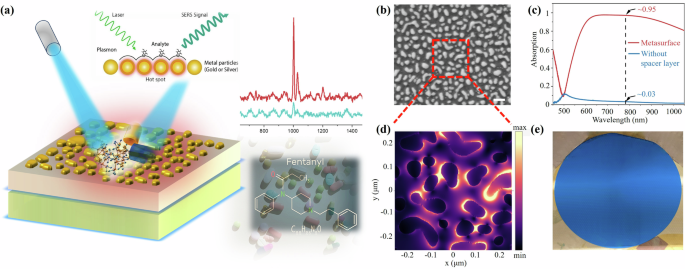 On-site quantitative detection of fentanyl in heroin by machine ...
