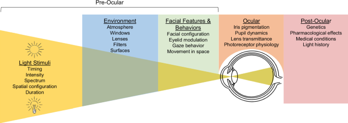 Considerations and guidelines for photic measurement in field studies of the physiological effects of light
