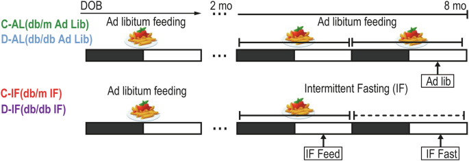 Reshaping lipid metabolism with long-term alternate day feeding in type 2 diabetes mice Reshaping lipid metabolism with long-term alternate day feeding in type 2 diabetes mice