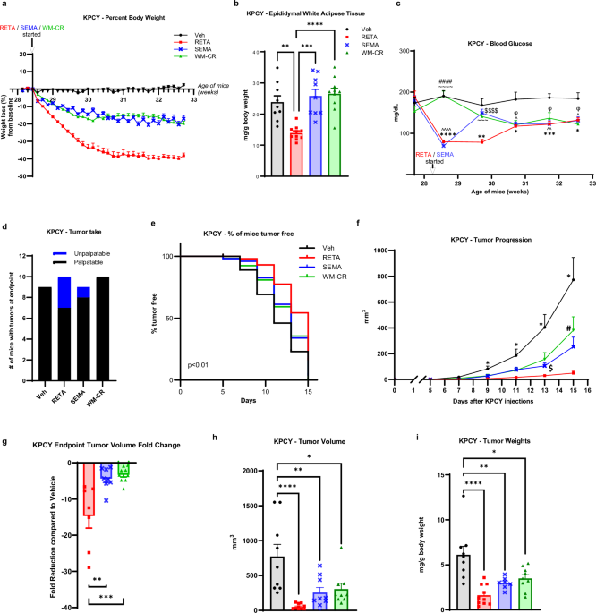 Incretin triple agonist retatrutide (LY3437943) alleviates  obesity-associated cancer progression