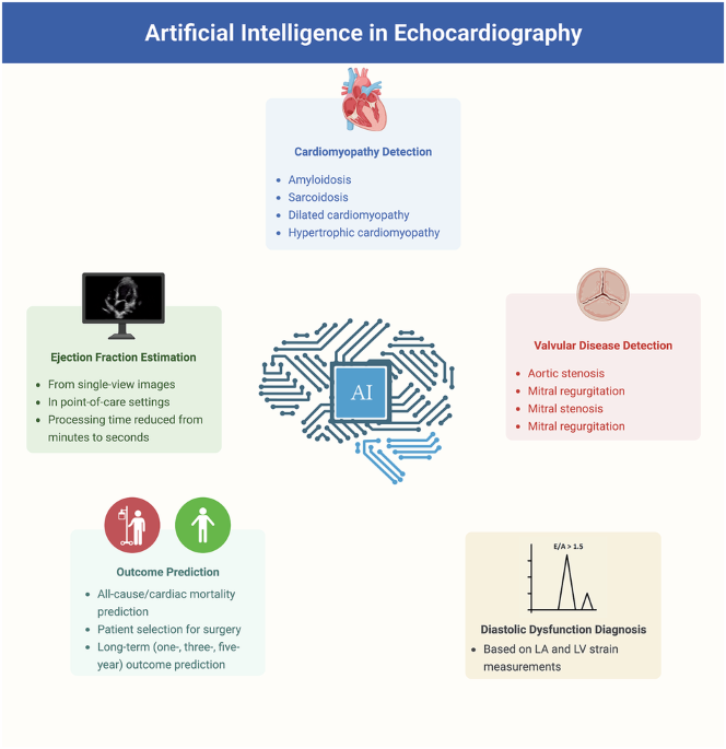 Contemporary applications of artificial intelligence and machine learning in echocardiography