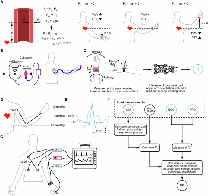A method for blood pressure hydrostatic pressure correction using ...