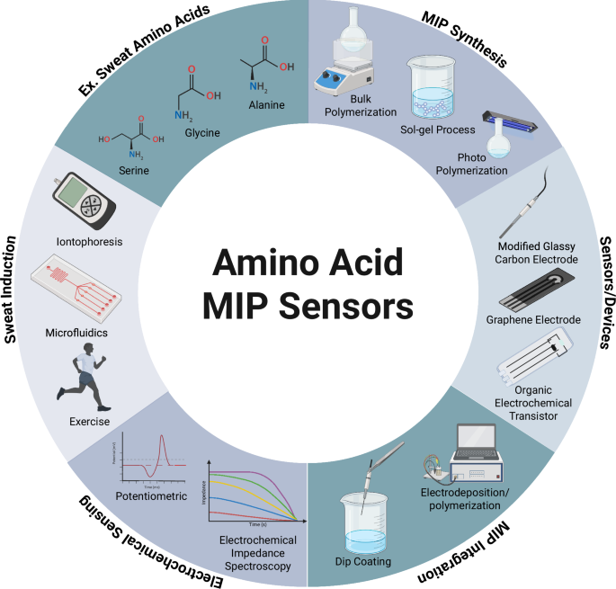 Molecularly imprinted polymer-based electrochemical sensors for amino acid detection: towards wearable sensing - npj Biosensing