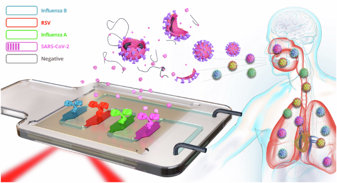 Disposable Point of Care multiplexed plasmonic biosensor for rapid and specific identification of respiratory viruses - npj Biosensing