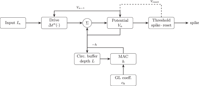Fractional-order systems for neuromorphic computing: software and hardware opportunities and challenges