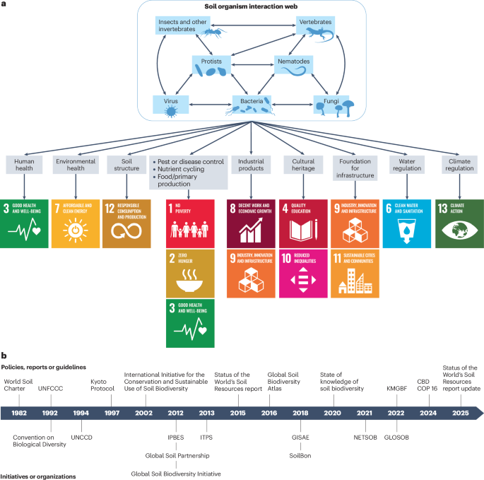 Building on monitoring and conservation policies for global soil ...