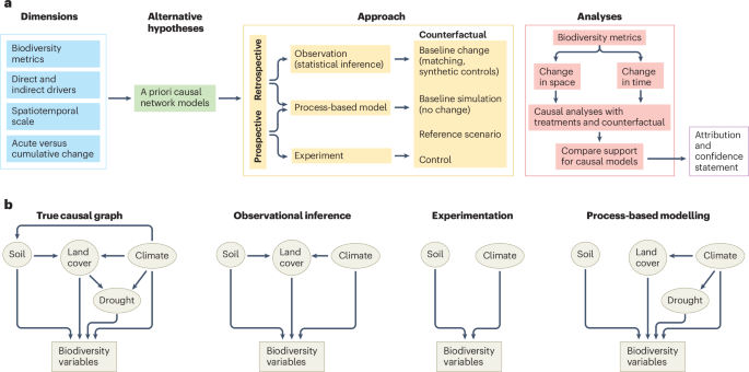 Complementary causal approaches to support biodiversity change attribution - Nature — source Rainforest & Nature (Google News)