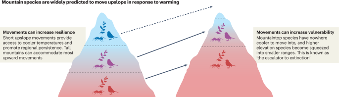 New online! The fate of mountain biodiversity in a warming world
