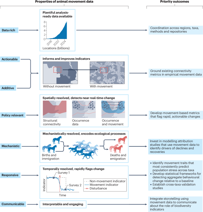 A call to integrate animal movement into biodiversity indicators - Nature Reviews Biodiversity
