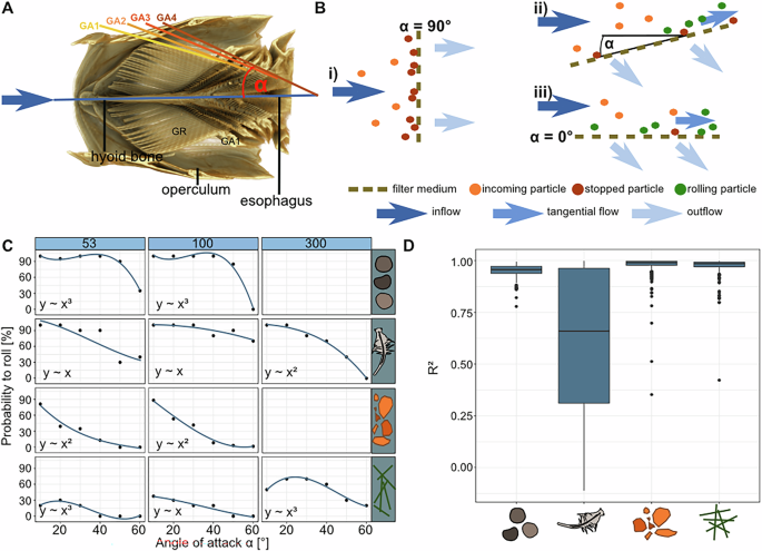 Samočistiaci filter inšpirovaný prírodou zachytáva mikroplasty: Nový prístup k ochrane životného prostredia