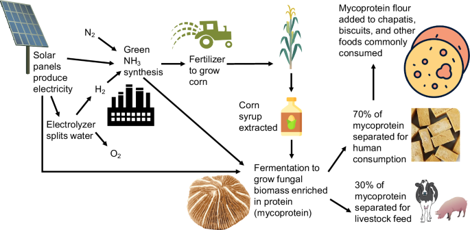 Green ammonia presents an opportunity to advance energy and food system sustainability in India - Communications Sustainability