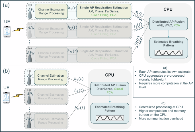 Unmasking Fresnel-zone limitations for robust respiration sensing in cell-free massive MIMO