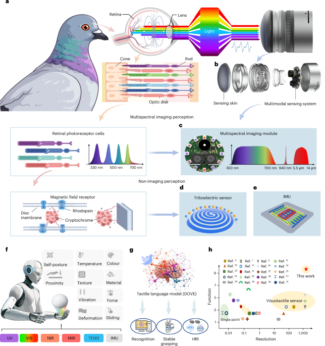 Biomimetic multimodal tactile sensing enables human-like robotic perception - Nature Sensors