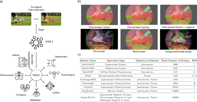 Systematic evaluation and guidelines for segment anything model in surgical video analysis
