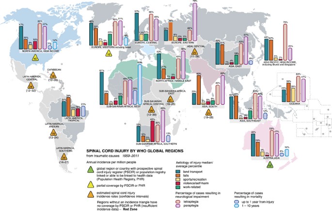 The global map for traumatic spinal cord injury epidemiology: update 2011,  global incidence rate | Spinal Cord