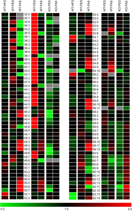 Assessment of lipidomic species in hepatocyte lipid droplets from stressed mouse models