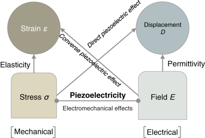 A database to enable design piezoelectric materials Scientific Data