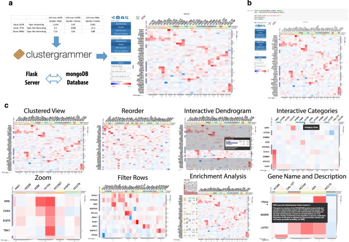 Clustergrammer, a web-based heatmap visualization and analysis tool for  high-dimensional biological data | Scientific Data