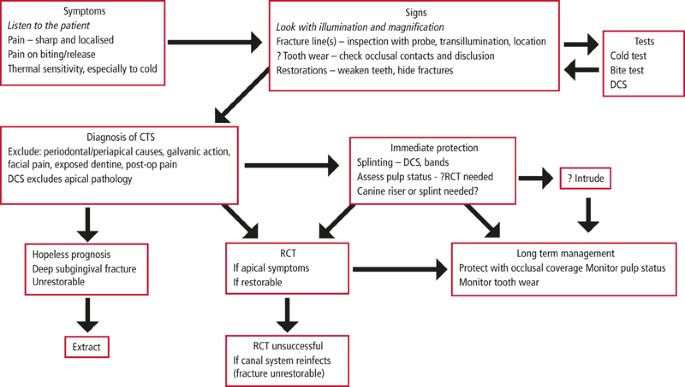 Tooth Extraction Chart