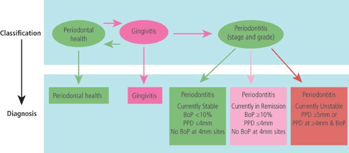 Periodontal diagnosis in the context of the 2017 classification system of periodontal  diseases and conditions – implementation in clinical practice | British  Dental Journal