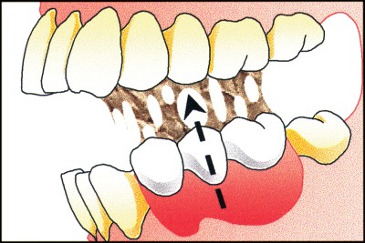 Surveying British Dental Journal - 