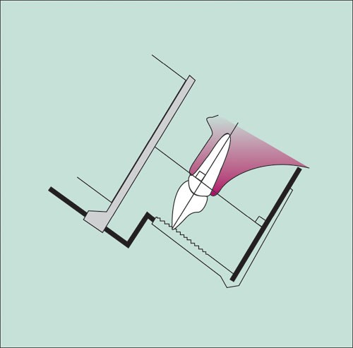 feature-image