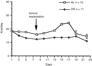 Dietary restriction reduces angiogenesis and growth in an orthotopic mouse brain tumour model