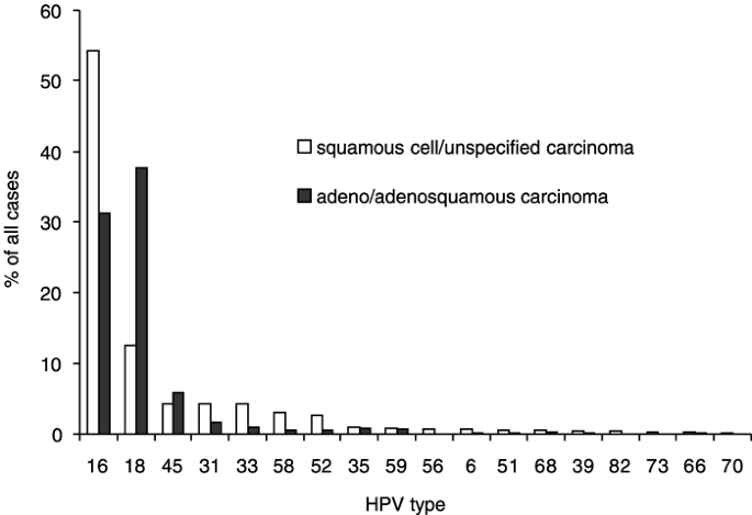 human papillomavirus type 45