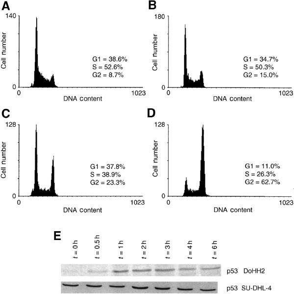 Delayed expression of apoptosis in human lymphoma cells undergoing low-dose taxol-induced mitotic stress