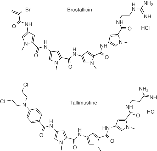 Brostallicin (pnu-166196) – a new dna minor groove binder that retains sensitivity in dna mismatch repair-deficient tumour cells