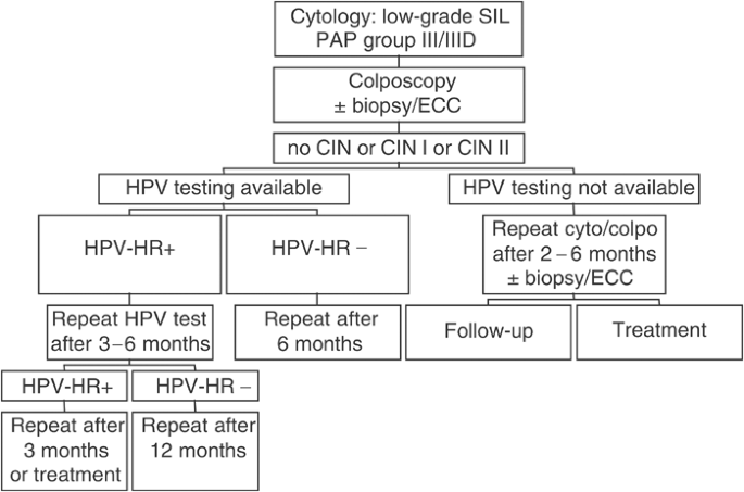 1 Guidelines for management of patients with abnormal vaginal