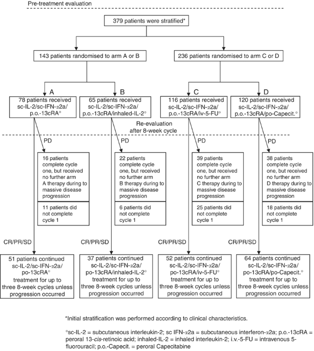 Interleukin-2/interferon-α2a/13-retinoic acid-based chemoimmunotherapy in advanced renal cell carcinoma: results of a prospectively randomised trial of the German Cooperative Renal Carcinoma Chemoimmunotherapy Group (DGCIN)