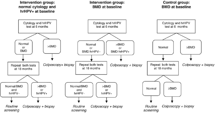 High-risk hpv type-specific clearance rates in cervical screening