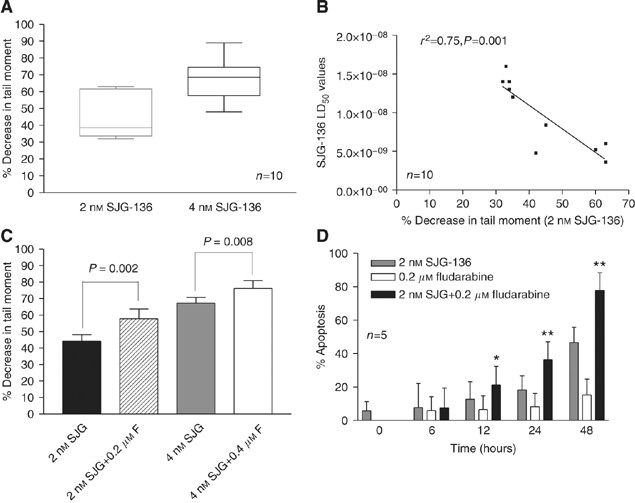 Fludarabine-mediated suppression of the excision repair enzyme ercc1 contributes to the cytotoxic synergy with the dna minor groove crosslinking agent