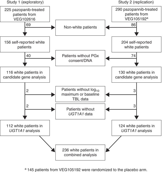 Pazopanib-induced hyperbilirubinemia is associated with gilbert's syndrome ugt1a1 polymorphism