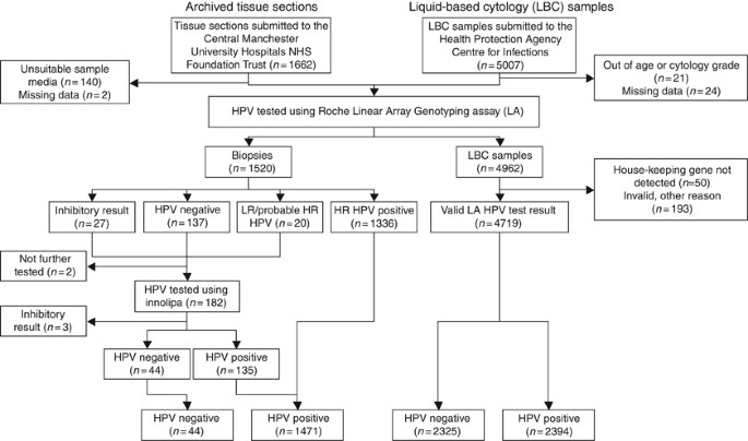 hpv szemölcsök uptodate