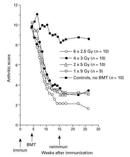 Conditioning regimens for the treatment of experimental arthritis with autologous bone marrow transplantation